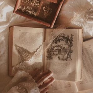 Meet your Posher, Lucy